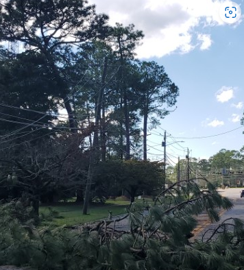 Hurricane Helene Damage 1.PNG